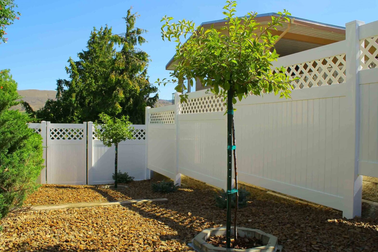 Photo of vinyl privacy fence in British Columbia