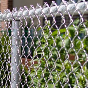 Photo of a galvanized chain link fence in British Columbia, Canada