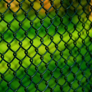 Photo of PVC-coated chain link fence in British Columbia, Canada