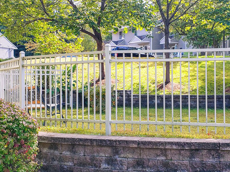 Aegis Plus Iron Fence - British Columbia