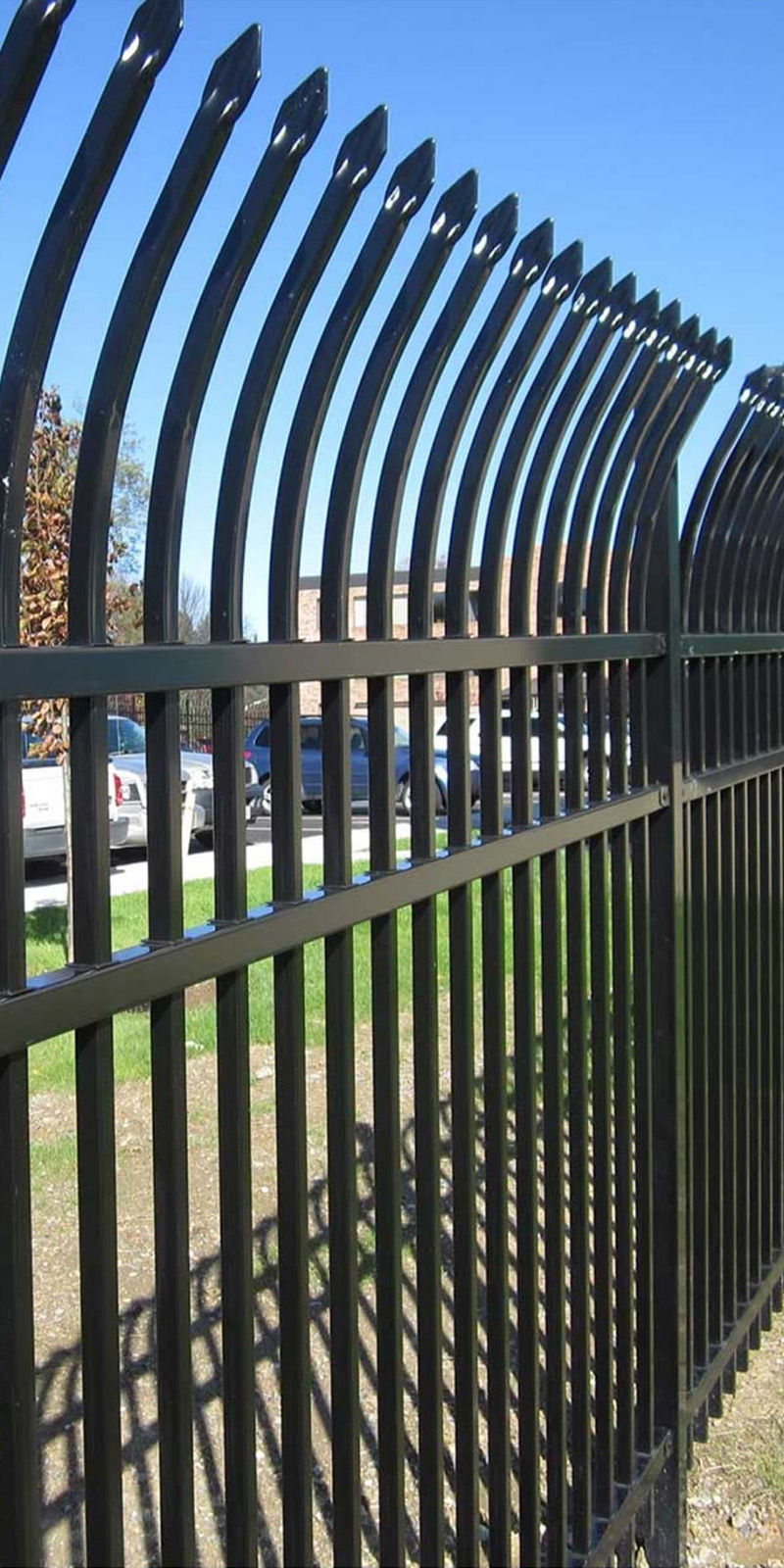 Titan Custom Ornamental Iron Fence - British Columbia